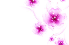 基于可持续成长观的我国纺织企业融资问题研究